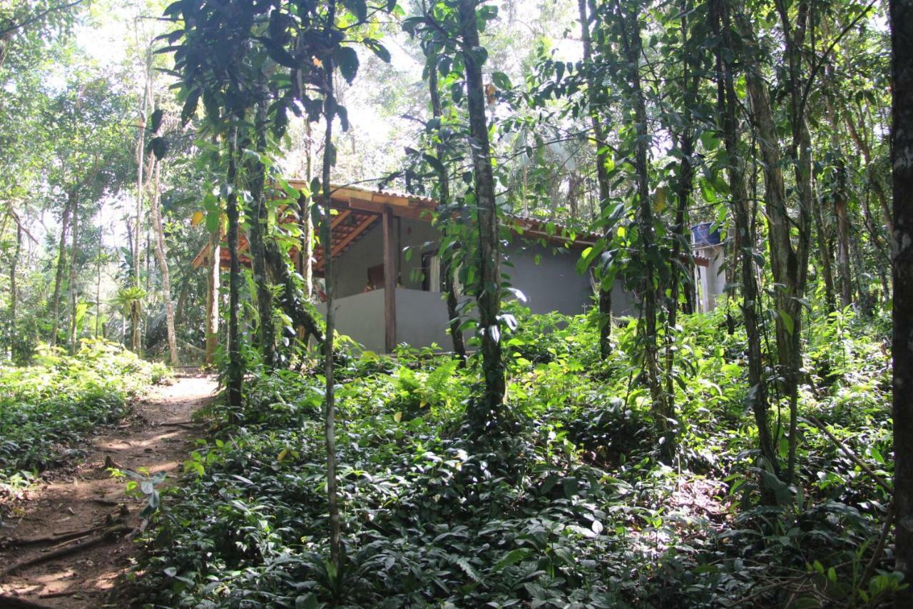 Sitio Das Brumelias Sertao Do Ubatumirim *